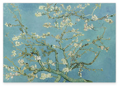 Vincent van Gogh - Mandelbaumzweige (1890)