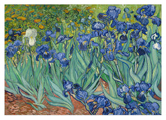 Vincent van Gogh - Schwertlilien (1889)