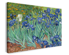 Vincent van Gogh - Schwertlilien (1889)