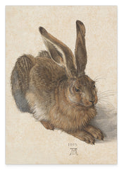Albrecht Dürer - Feldhase