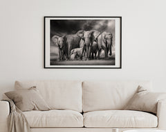 Elefanten-Herde in Schwarz-Weiß