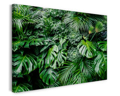 Palmen-Blätter im Regenwald