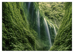 Wasserfälle im Regenwald