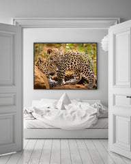 Leoparden-Mutter und Junges