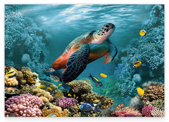 Schildkröte im Korallenriff