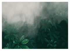Pflanzen im Nebel