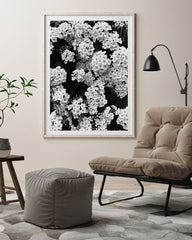Blumen - Schwarz-Weiß