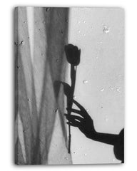 Rose im Schatten - Schwarz-Weiß
