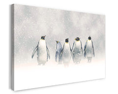 Pinguine im Schnee