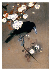 Ohara Koson - Krähe hinter Blüten