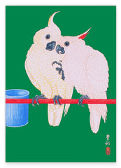 Ohara Koson - Zwei Kakadus vor grünem Hintergrund