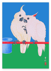 Ohara Koson - Zwei Kakadus auf buntem Hintergrund