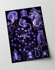 Ernst Haeckel - Kunstformen des Meeres in violett