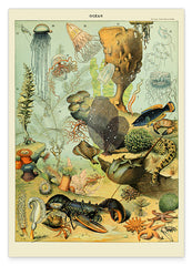Adolphe Philippe Millot - Unterwasserwelt II