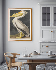 John James Audubon - Pelikan