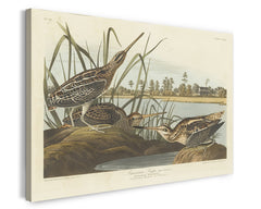 John James Audubon - Enten am Teich