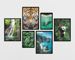 Set aus 6 Postern: "Südostasiatische Natur"