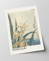 Katsushika Hokusai - Museum-Poster I Grashüpfer und Iris (Gelbe Blumen)