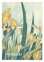 Katsushika Hokusai - Museum-Poster II Grashüpfer und Iris (Gelbe Blumen)