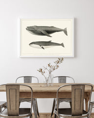 Buckelwal und Finnwal im Vintage-Look