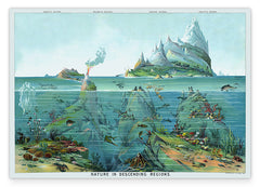 Unterwasser-Motiv "Nature in descending regions"