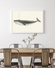 Wal mit Wasser-Fontäne