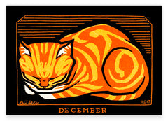 "December Cat" in Orange