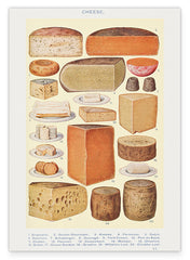 Käse-Übersicht aus Mrs. Beetons Book