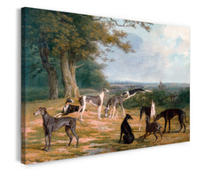 Nine Greyhounds in a landscape