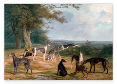 Nine Greyhounds in a landscape