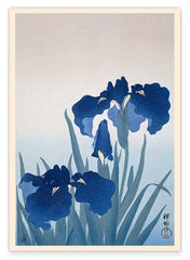 Ohara Koson - Blaue Iris Blumen auf der Wiese