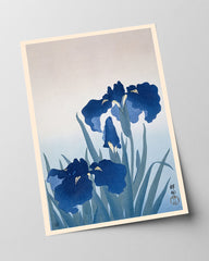 Ohara Koson - Blaue Iris Blumen auf der Wiese