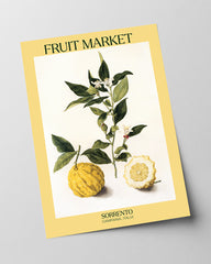 Lemon Fruit Market in Sorrento Italia