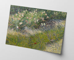 Vincent van Gogh - Gras und Schmetterlinge