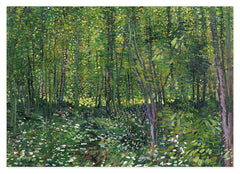 Vincent van Gogh - Bäume und Unterholz
