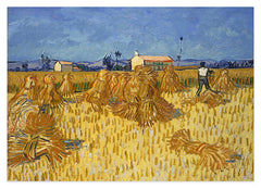 Vincent van Gogh - Getreide-Ernte in der Provence