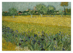Vincent van Gogh - Feld mit Blumen in der Nähe von Arles