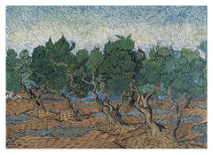 Vincent van Gogh - Oliven-Hain