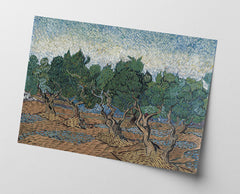 Vincent van Gogh - Oliven-Hain