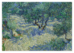 Vincent van Gogh - Oliven-Feld