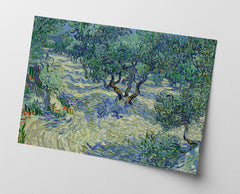 Vincent van Gogh - Oliven-Feld