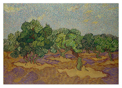 Vincent van Gogh - Oliven-Bäume II