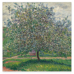 Claude Monet - Apfelbaum