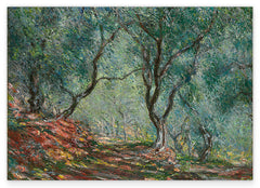 Claude Monet - Olivenholz im Moreno Garten