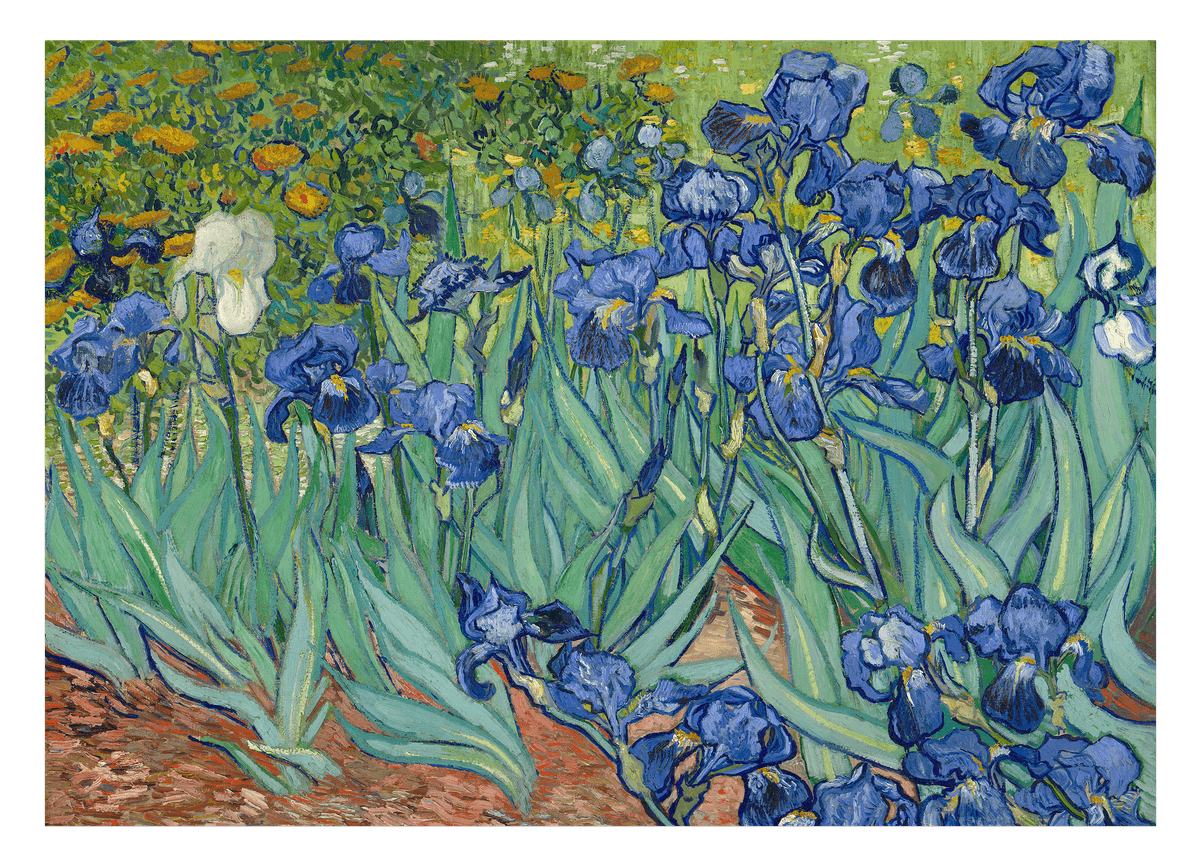 Vincent van Gogh - Schwertlilien (1889)