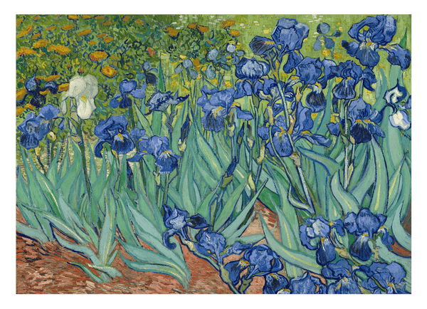 Vincent van Gogh - Schwertlilien (1889)