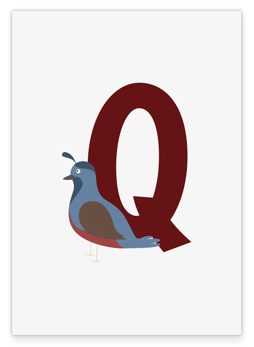 Q wie Quail - Wachtel - Wanddeko in Weiß, Englisches ABC Buchstaben lernen