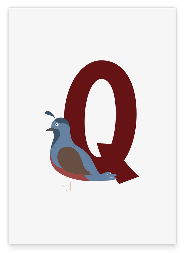Q wie Quail - Wachtel - Wanddeko in Weiß, Englisches ABC Buchstaben lernen