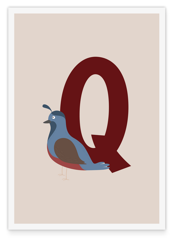 Q wie Quail, Wachtel, Englisches ABC Lernen, Süße Vogel Illustration in Beige mit weißem Rand, Buchstabe für Name