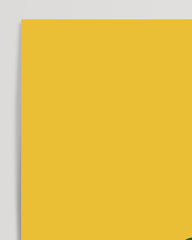 After Hover: Sasha Schildkröte, Lustige Zeichnung, Autorennen im Caprio, Bunte Dekoration für Zuhause